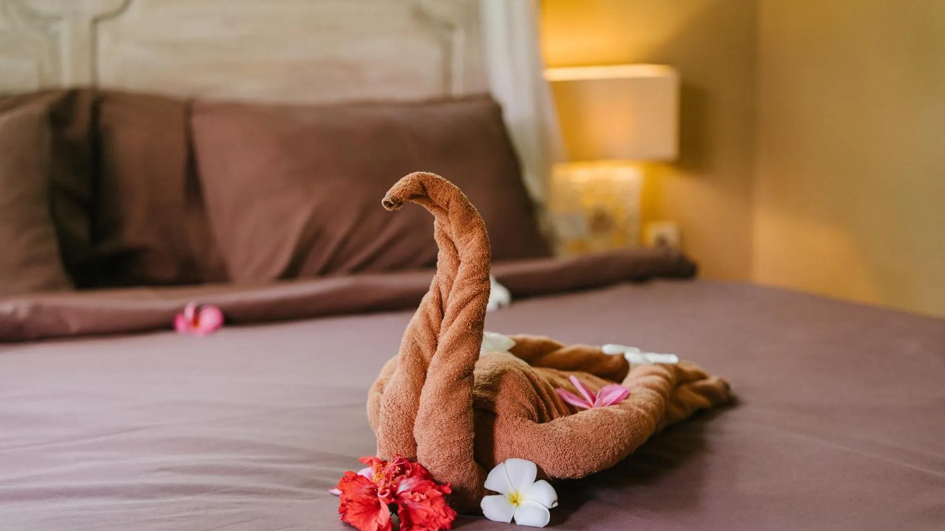 Hostel The Onion Collective Pansiyon Ubud